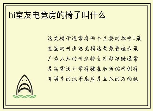 hi室友电竞房的椅子叫什么